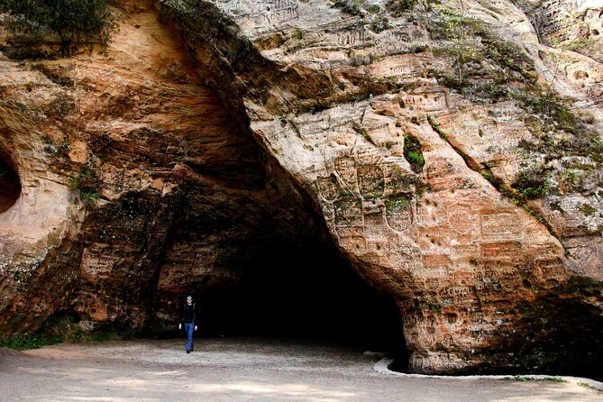 Day trip to Gauja National Park: animals, castles and a cave - A small group makes a real difference