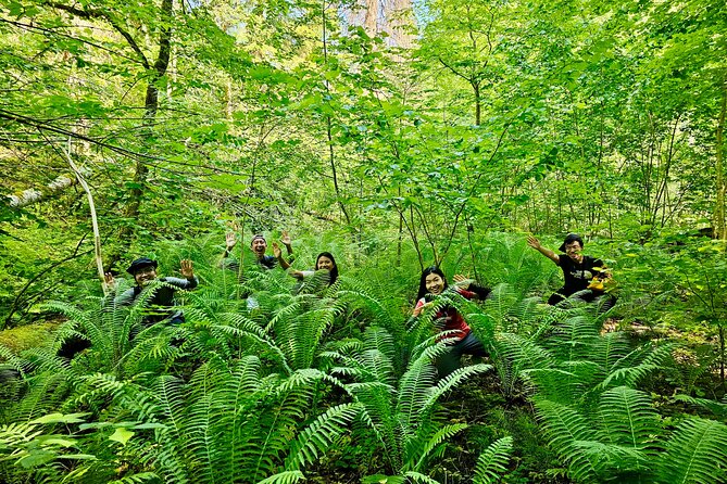 Discover Best Of Gauja National Park In One Day - Why Gauja makes a better day out than another Riga museum