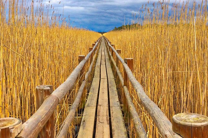 From Riga: Best of Kemeri National Park In One Day - Why Kemeri makes a smart break from Riga
