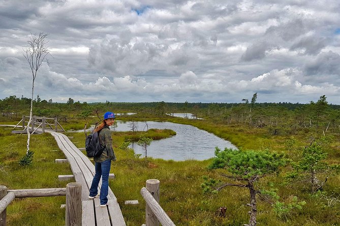From Riga: Best of Kemeri National Park In One Day - Lake Kaņieris from the bird tower