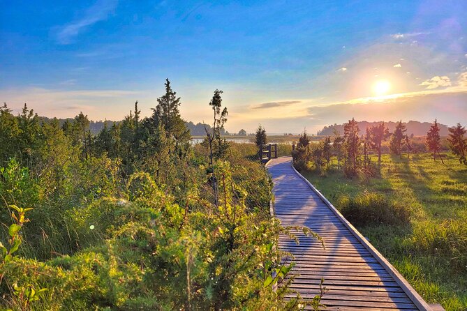 From Riga: Best of Kemeri National Park In One Day - What the $235.33 price really covers
