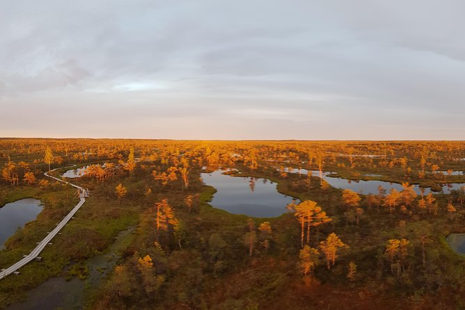 From Riga: Best of Kemeri National Park In One Day - Seasonal conditions and what to bring