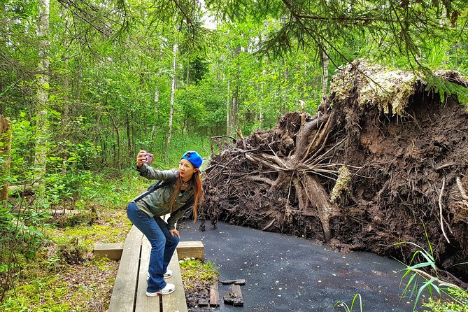 From Riga: Best of Kemeri National Park In One Day - Who should book this Kemeri day trip?