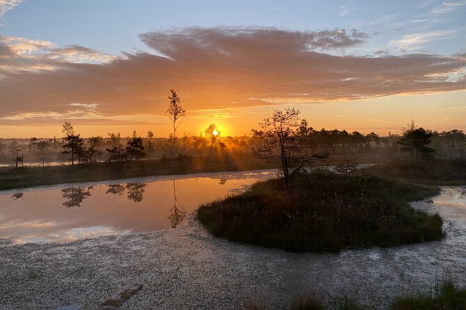 From Riga: Kemeri Bog Boardwalk and Jurmala Seaside - Why the Ķemeri bog is worth the morning trip