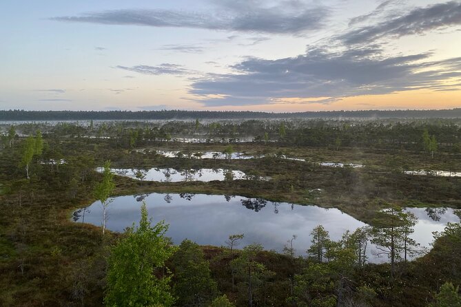 From Riga: Kemeri Bog Boardwalk and Jurmala Seaside - A guide-led day, not just a transfer