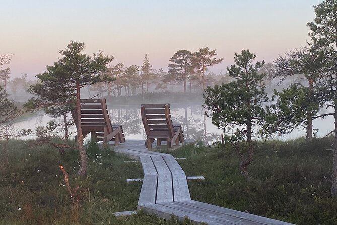 From Riga: Kemeri Bog Boardwalk and Jurmala Seaside - Who will enjoy this half-day outing