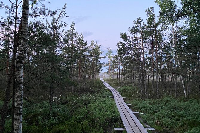 From Riga: Kemeri Bog Boardwalk and Jurmala Seaside - Ķemeri Historical Park and the memory of spa days