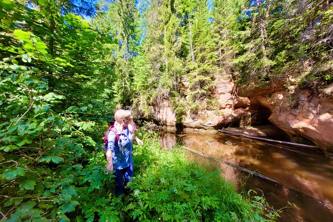 Full Day Gauja National Park Ultimate Hiking & Sightseeing Trip - Līgatne’s caves and local fruit wine