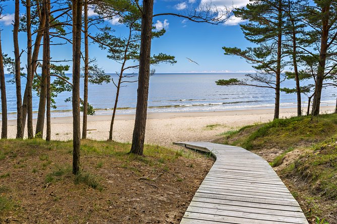 Full-Day Private Trip to Jurmala, Fisherman Villages and Nature Trails from Riga - The driver can shape the whole day