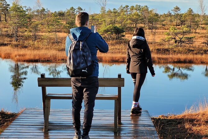Great Ķemeri Bog and Swamp Forest Hiking Adventure - The Great Ķemeri Bog boardwalk, four kilometers of open peatland