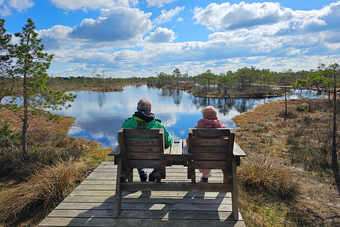 Great Ķemeri Bog and Swamp Forest Hiking Adventure - Rolands’ guiding style and the value of a small group