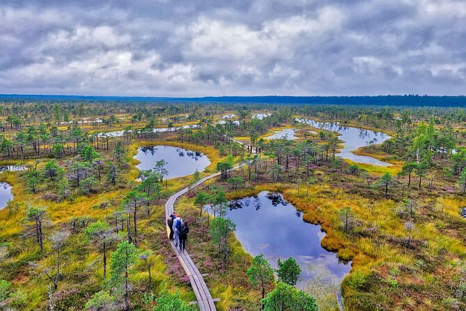 Great Ķemeri Bog and Swamp Forest Hiking Adventure - How the six-hour schedule works from Riga or Jūrmala