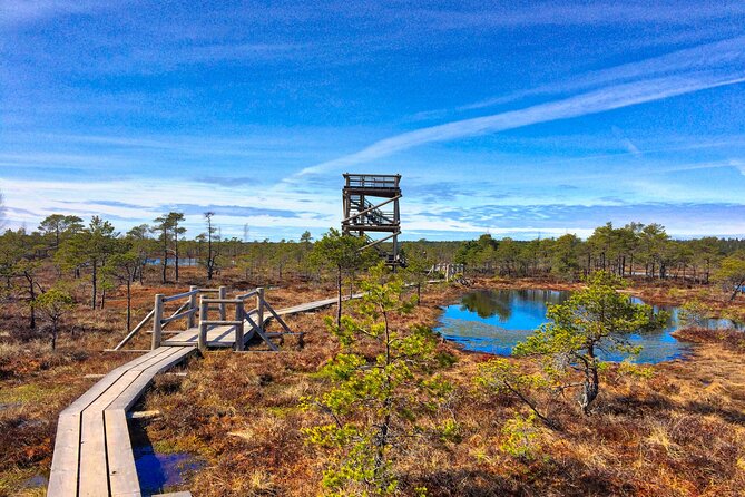 Great Ķemeri Bog and Swamp Forest Hiking Adventure - Picking the best season for your walk