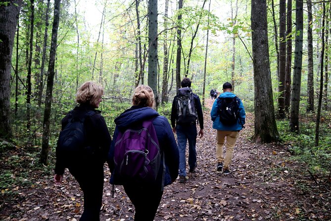 Hike In Gauja National Park - Up And Down The Switzerland Of Latvia - What Lauris and Valdis add to the walk