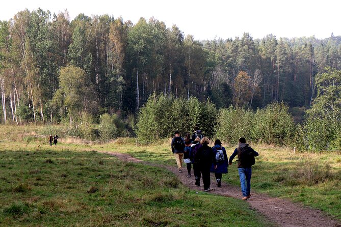 Hike In Gauja National Park - Up And Down The Switzerland Of Latvia - Winter hiking and changing conditions