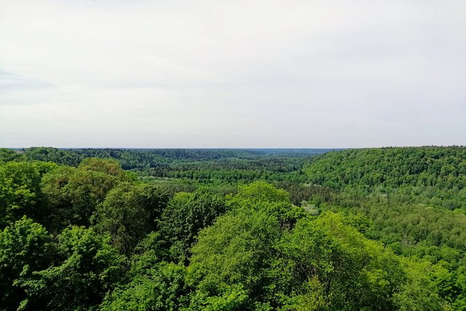 Hiking in Gauja National Park - A four-hour walk with room to set the pace