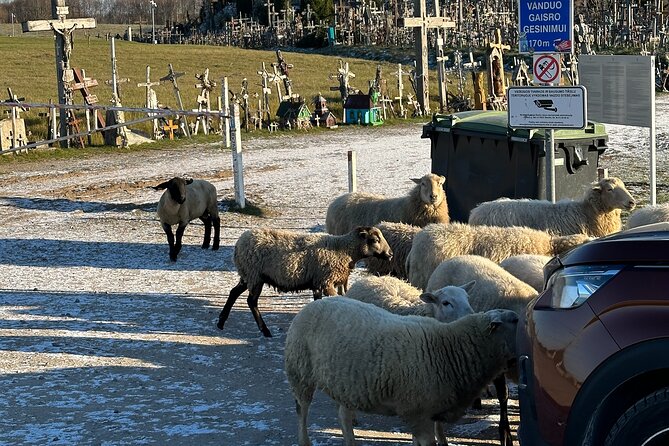 Hill of Crosses and Jelgava Gems Tour - 2 countries in 1 day - Is $46.91 good value?