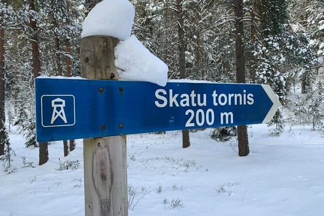 Husky dog sled/bike kart ride in Latvia ~ 3h group tour from Riga - From central Riga to Ogres Zilie Kalni