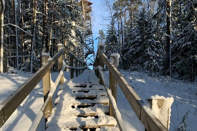 Husky dog sled/bike kart ride in Latvia ~ 3h group tour from Riga - Learning to mush on the 3 km route