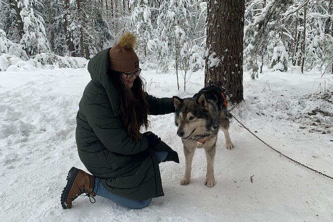 Husky dog sled/bike kart ride in Latvia ~ 3h group tour from Riga - Who will enjoy this Riga day trip