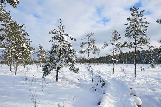Husky Dog Sledding Tour From Riga - Time with the huskies before and after the ride