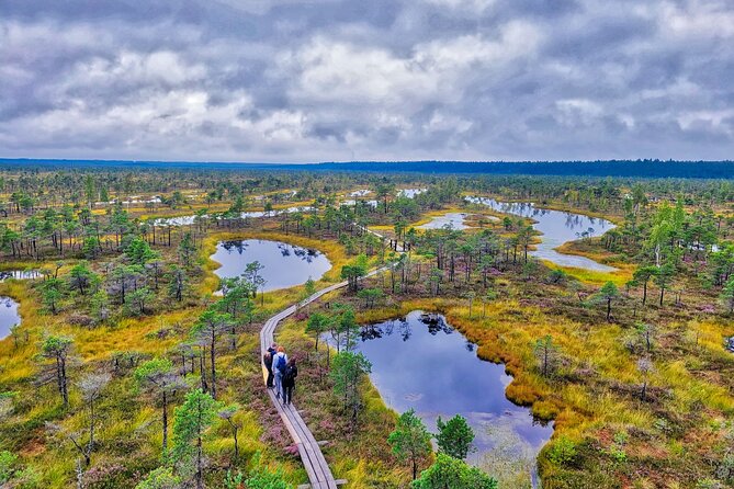 Ķemeri Great Bog Discovery With Optional Sunrise & Jūrmala Visit - Why Ķemeri Great Bog is worth leaving Riga for