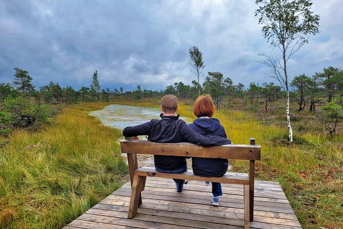 Ķemeri Great Bog Discovery With Optional Sunrise & Jūrmala Visit - The sulfur springs and swamp forests after the walk