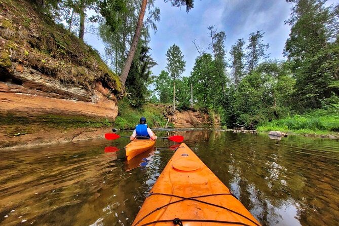 One-Day Kayaking Trip in Gauja River Valley - What the river section feels like
