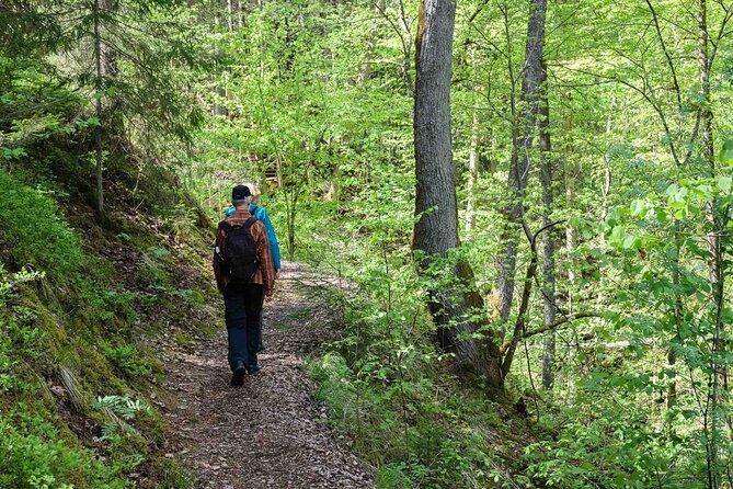 Private Full-Day Hiking Tour in Sigulda and Gauja National Park - Key points at a glance