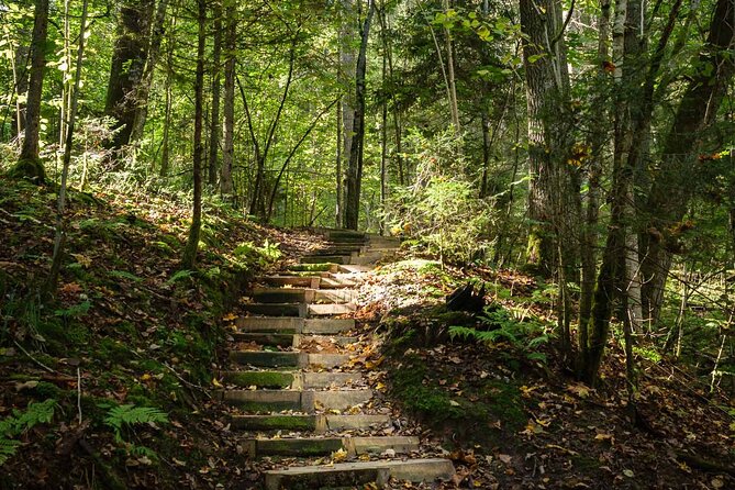 Private Full-Day Hiking Tour in Sigulda and Gauja National Park - The private format and guide experience