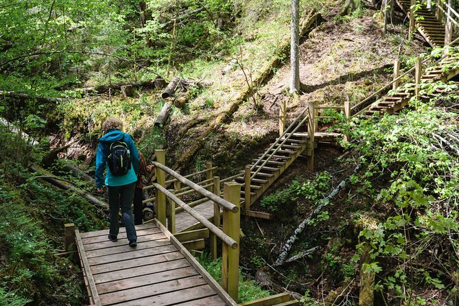 Private Full-Day Hiking Tour in Sigulda and Gauja National Park - Is $195.18 per person fair value?