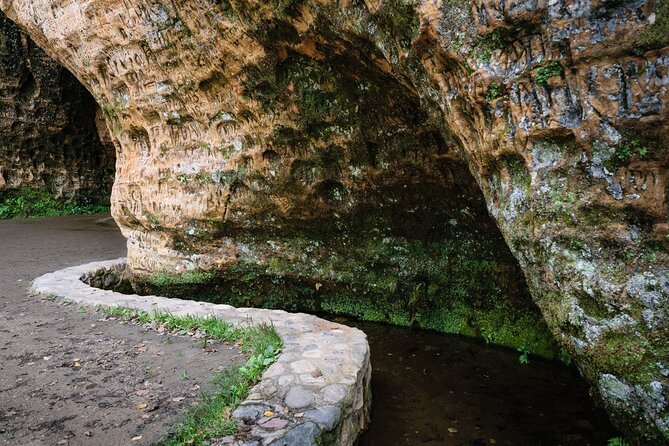 Private Full-Day Hiking Tour in Sigulda and Gauja National Park - What to bring for an eight-hour outdoor day