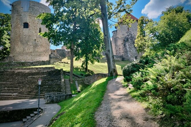 Private Full-Day Trip to Turaida, Sigulda, and Cesis - Cesis Medieval Castle, the day’s strongest history stop