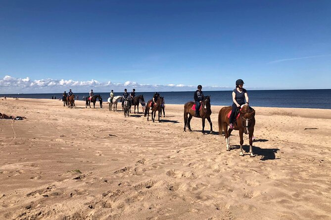 Private Horse Riding on the Beach in Riga - Through Latvian forest and sand dunes