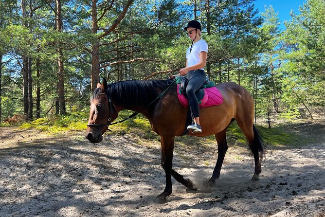 Private Horse Riding on the Beach in Riga - Who will enjoy this Riga ride