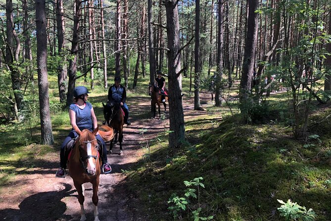 Private Horse Riding on the Beach in Riga - A good match for a first horseback ride