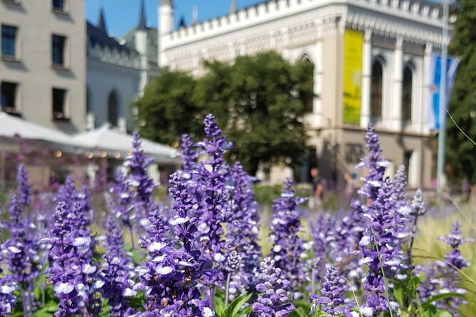 Riga Sightseeing Tour for First Time Visitors - Who should book this Riga experience?