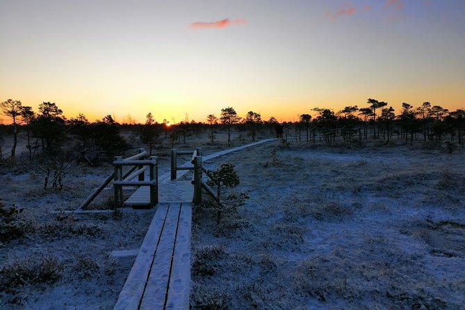 Sunrise at Kemeri National park + Jurmala - Why the pre-dawn start is worth it