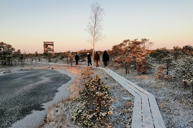 Sunrise at Kemeri National park + Jurmala - Walking the Great Kemeri Bog