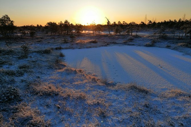 Sunrise at Kemeri National park + Jurmala - Who will enjoy this Riga morning most