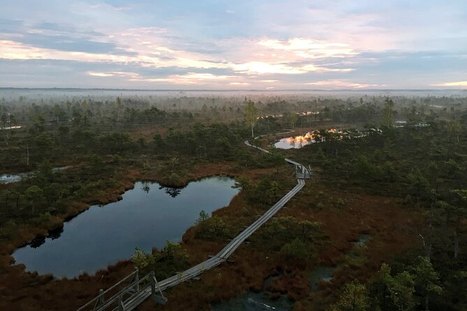Sunrise at Kemeri National Park - Small Group - Who will enjoy this tour most