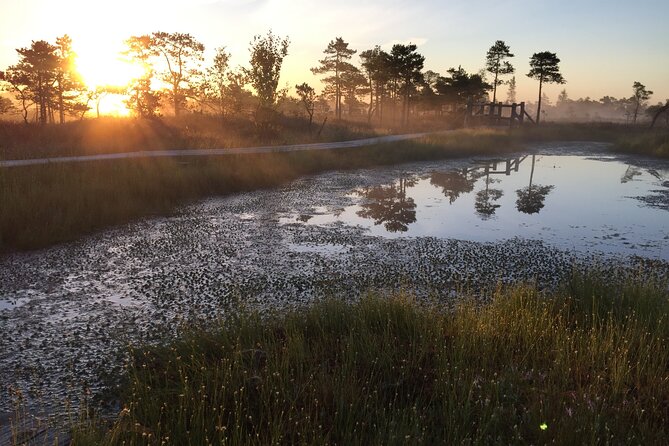 Sunrise at Kemeri National Park - Small Group - Practical details for a smoother morning
