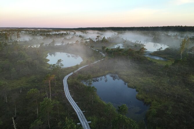 Sunrise at Kemeri National Park - Small Group - The personal touch from guide Krista