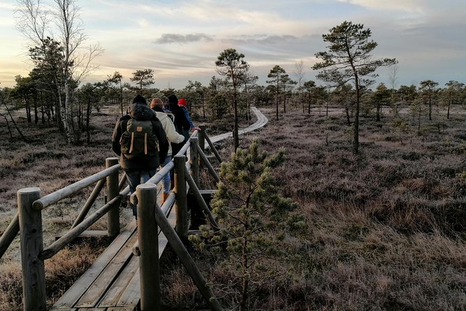 Sunset at Kemeri National Park - Starting in Riga with transport for a small group
