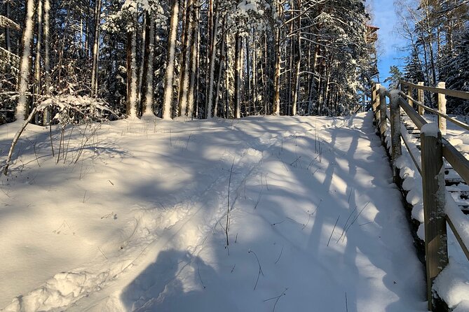 Ultimate Husky dog sledding experience in Latvia - Private tour from Riga - Filling the waiting time in the forest